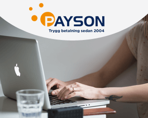 Payson logo